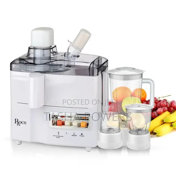 EXTRACTEUR JUS ROCH RJE2819